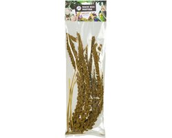 Franse Trosgierst Geel 150 Gr - BACK ZOO NATURE - Natuurlijke Voeding voor Vogels en Knaagdieren