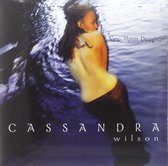 Cassandra Wilson - New Moon Daughter (2 LP)