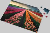 Tulpen Puzzel - Tulpenveld - Natuur - Landschap - Legpuzzel - Kleurrijk - Betoverende Bloemenpracht - 500 Stukjes - Hoogwaardige Kartonnen Puzzel - Natuurlijke Schoonheid - Ontspannende Tijdverdrijf - Kleurrijke Tulpenweelde