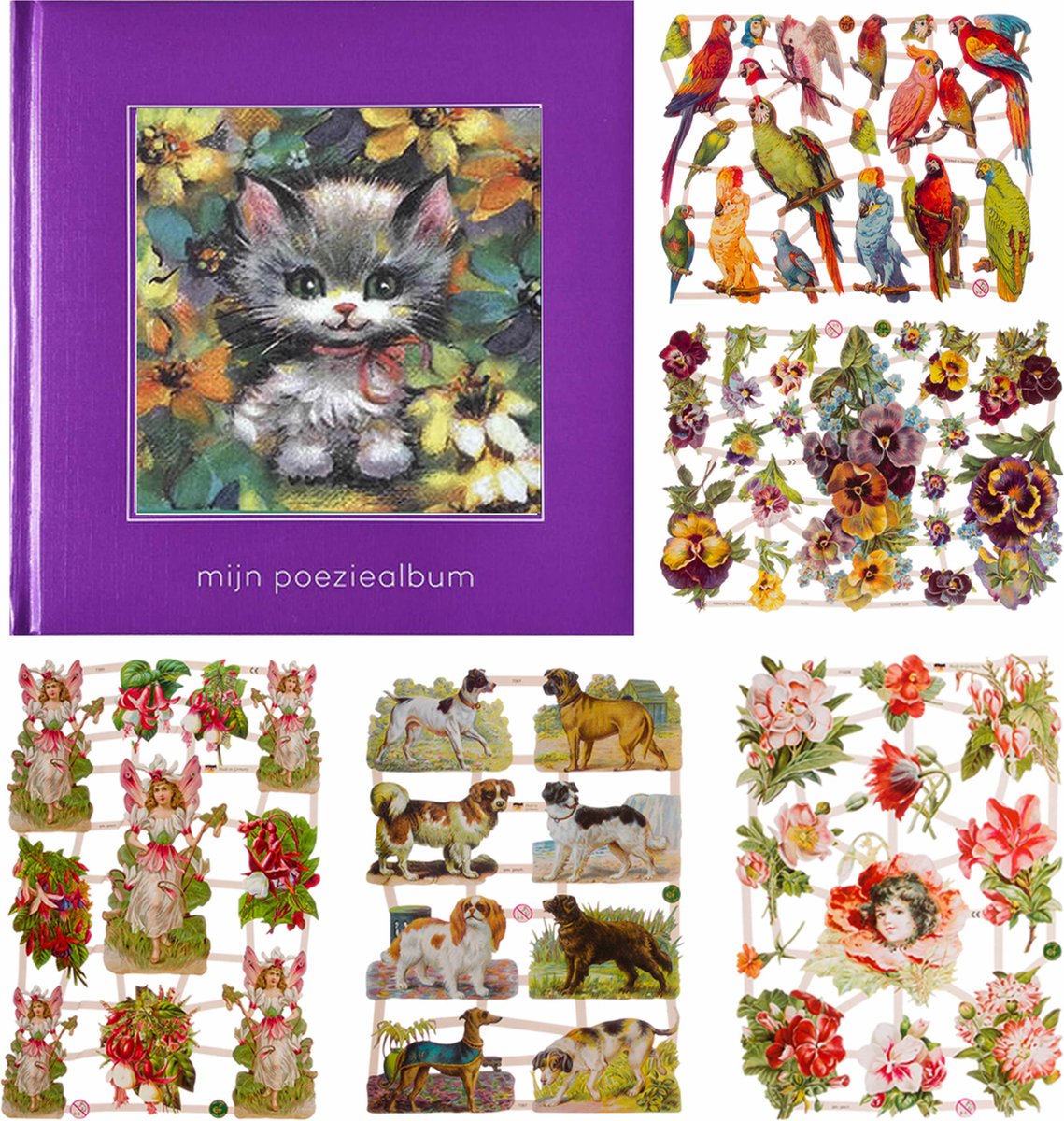 Poëziealbum - 16x16 - Paars - Poes met rode strik - met 5 vellen Poëzieplaatjes