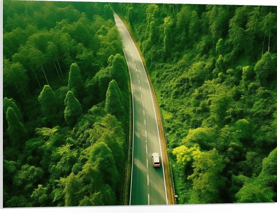 PVC Schuimplaat - Bomen - Bossen - Weg - Auto - Voertuig - 80x60 cm Foto op PVC Schuimplaat (Met Ophangsysteem)