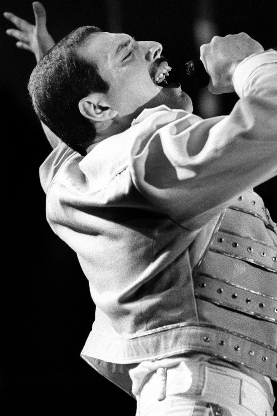 Freddie Mercury Collection l- Kristal Helder Galerie kwaliteit Plexiglas 5mm. - Blind Aluminium Ophang-frame - Luxe wanddecoratie - Fotokunst - professioneel verpakt en gratis bezorgd