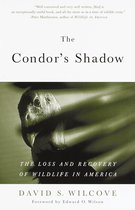 The Condor's Shadow