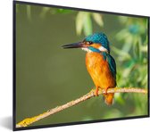 Poster - Fotolijst - Vogel - IJsvogel - Tak - Bladeren - 40x30 cm - Poster vogels - Poster in lijst - Wanddecoratie natuur - Poster dieren - Foto met lijst - Posters - Frame - Posterlijst