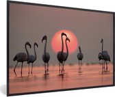 Affiche - Cadre photo - Flamingo - Soleil - Rose - Vogel - Tropical - Cadre - 60x40 cm - Affiche avec cadre - Photo dans cadre - Affiche animaux - Affiche flamant rose - Décoration murale