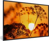 Fotolijst incl. Poster - Planten - Bloemen - Zonsondergang - Oranje - 60x40 cm - Posterlijst