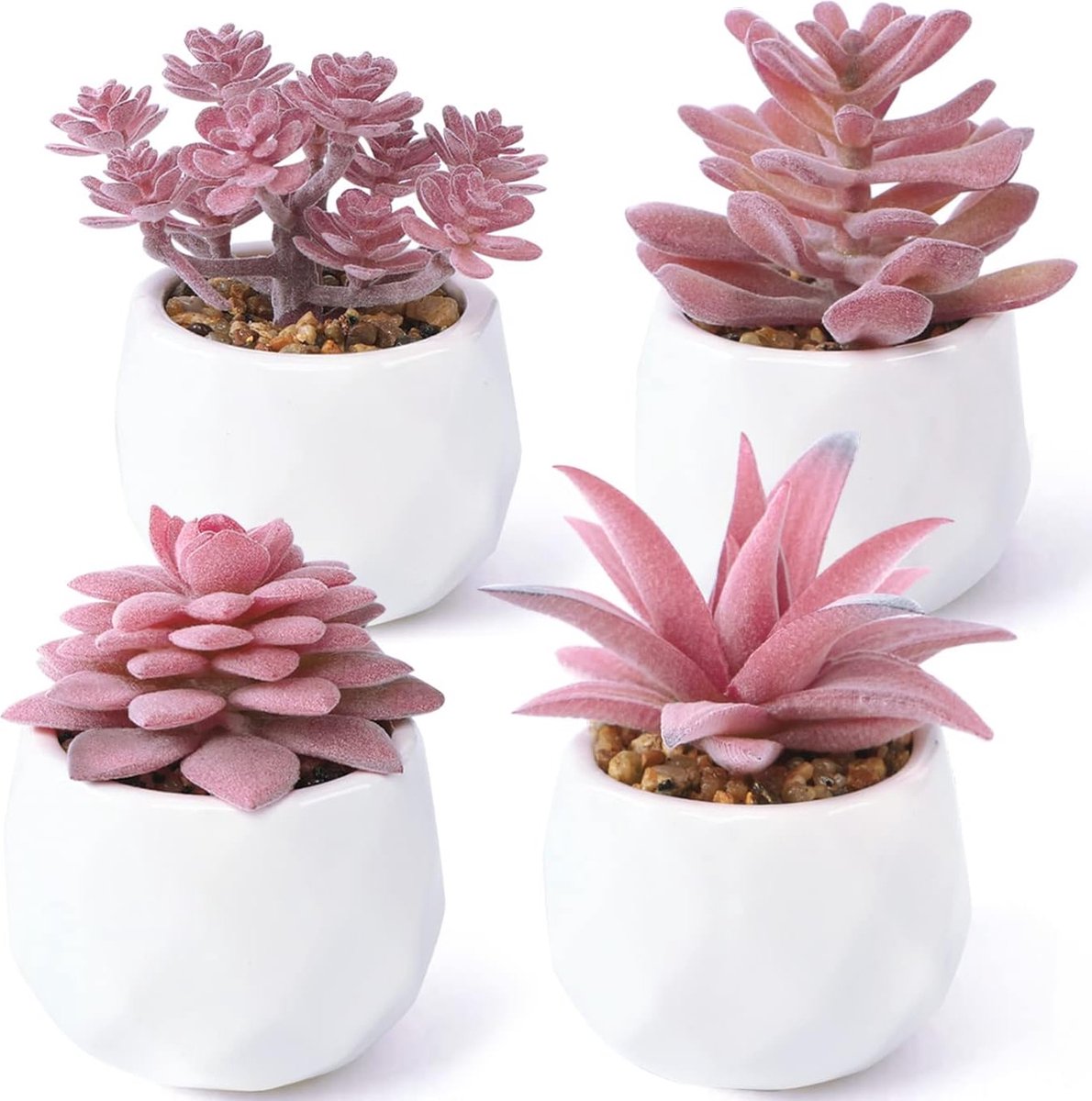 4pcs Plante Artificielles Interieur Petite Plante Artificielles Succulentes  en Plastique avec Pot en Céramique Fausses Plantes Vertes Décoration :  : Cuisine et Maison