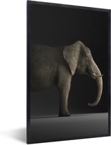 Cadre photo avec poster - Éléphant - Animaux - Lumière - 40x60 cm - Cadre poster