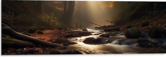 Dibond - Bossen - Water - Stenen - Takken - Bladeren - Boomstronk - Bomen - 90x30 cm Foto op Aluminium (Met Ophangsysteem)