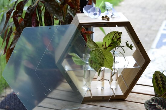 Plantenhanger binnen - Stekstation - Bamboe plantenhanger - Incl. 3 reageerbuisjes