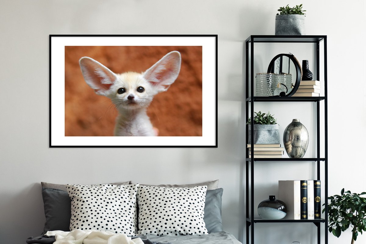 Bébé renard du désert aux grandes oreilles 120x80 cm
