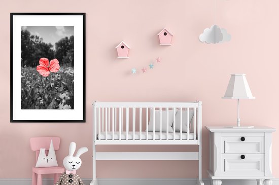 Cadre photo avec affiche - Fleurs - Rose - Zwart - Wit - 80x120 cm - Cadre pour affiche