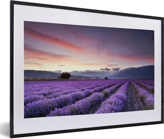 Photo en cadre - Un beau champ de lavande au coucher du soleil Cadre photo noir avec passe-partout blanc 60x40 cm - Affiche sous cadre (Décoration murale salon / chambre)
