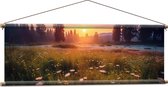 Textielposter - Zonsondergang bij Roze Bloemenveld - 120x40 cm Foto op Textiel