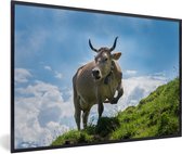 Cadre photo - Une vache alpine sur trois pieds cadre photo noir 30x20 cm - Affiche sous cadre (Décoration murale salon / chambre)