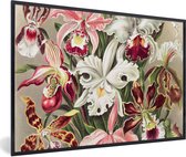 Fotolijst incl. Poster - Bloemen - Ernst Haeckel - Vintage - Orchidee - 30x20 cm - Posterlijst