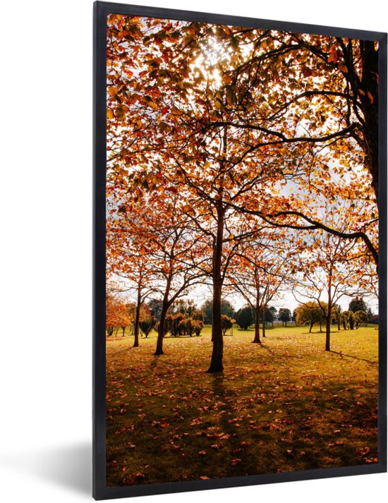Fotolijst incl. Poster - Herfst - Herfstbladeren - Natuur - 60x90 cm - Posterlijst