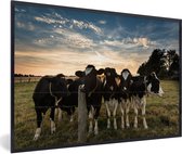 Fotolijst incl. Poster - Dieren - Koe - Koeien - 120x80 cm - Posterlijst