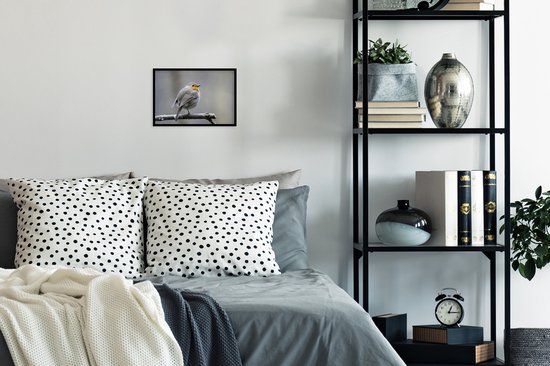 Cadre photo avec affiche - Robin - Branche - Hiver - 30x20 cm - Cadre pour affiche