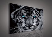 Canvas Schilderij - Tijger - Leeuw - Dieren - Kat - Wild - Roofdier - Grijs - 60x40cm LxB