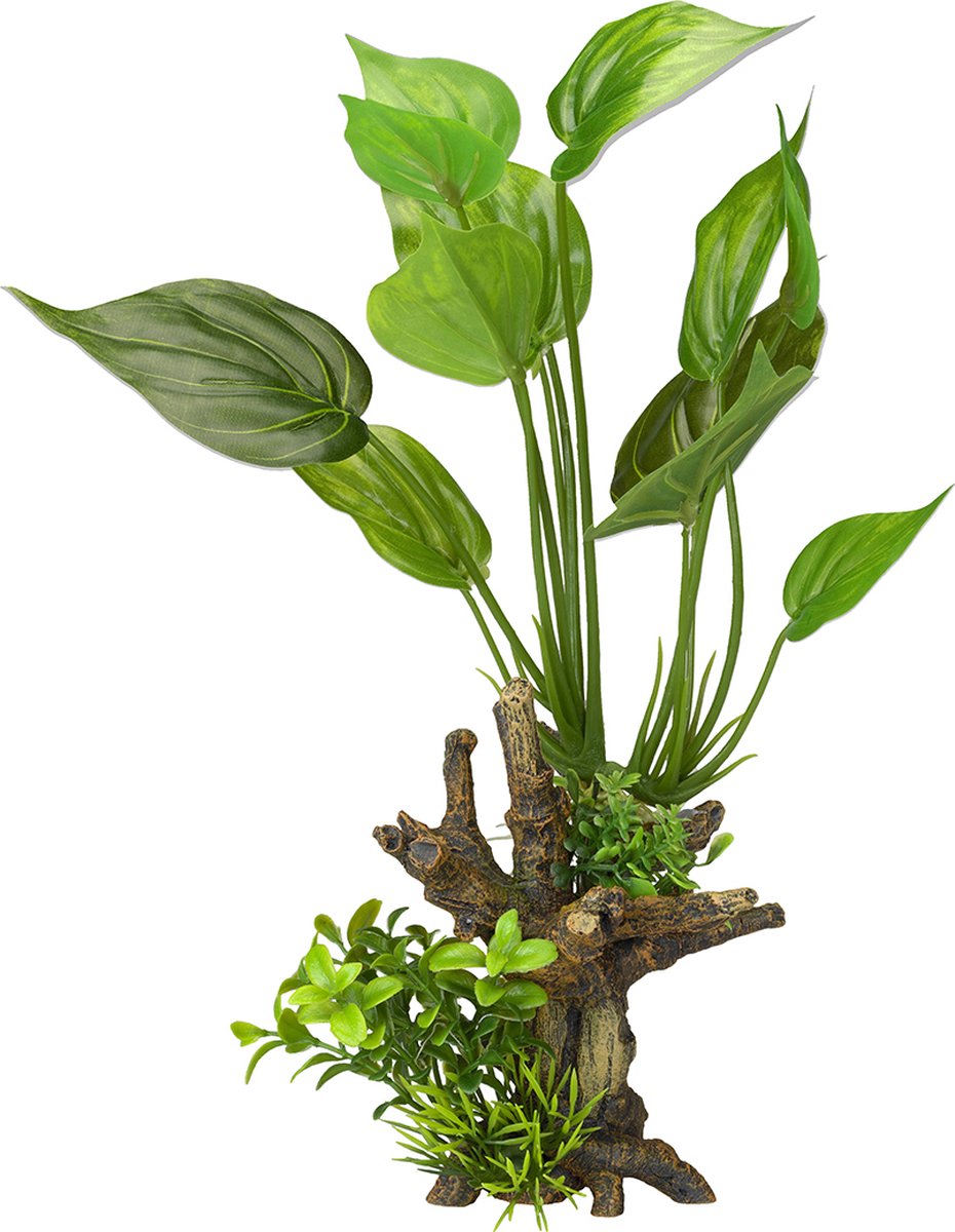 Flora-Scape 7