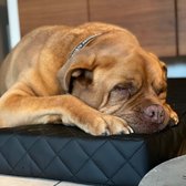 Huggles Onyx Hondenkussen - Orthopedisch Hondenbed - Comfortabel - XL - 120cm - Kunstleer - Zwart