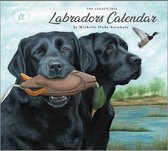 Calendrier Labrador 2024