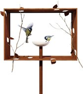 Framed Feeder vogel voederhuisje op paal