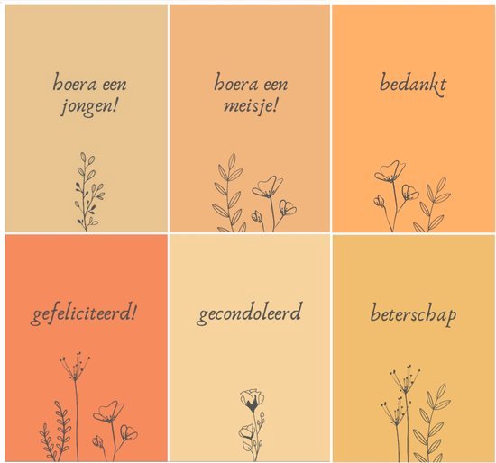 Wenskaartenset 24 stuks - Gefeliciteerd - Bloemen - Gecondoleerd - Beterschap - Geboorte - Ansichtkaart - Zakelijk - Droogbloemen - Verjaardag