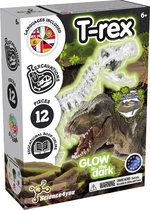 Science4you Excavation T- Rex Glow dans le noir