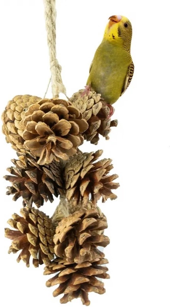 Natuurlijke speelslinger dennenappels - Speeltjes - Benodigdheden - Vogelspeelgoed - Agapornis roseicollis
