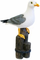 Decoratie Tuin/huis beeldje vogel - zeemeeuw - polystone - H50 cm - Maritiem - Dieren vogels beelden