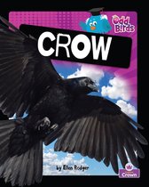 Odd Birds - Crow