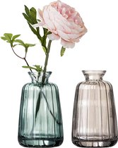 Kleine glazen vazenset voor tafeldecoratie Mini decoratieve bloemenvazenset tafelvaas set van 2