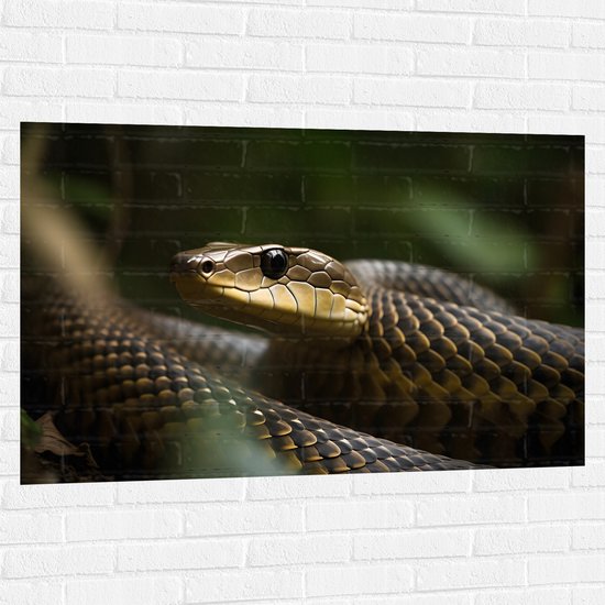 Muursticker - Zwarte mamba slang in de natuur - 120x80 cm Foto op Muursticker