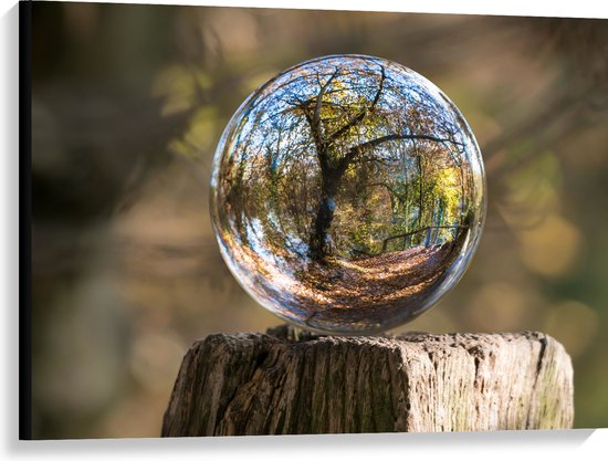 Canvas - Bubbel - Boom - Hout - Reflectie - Bos - 100x75 cm Foto op Canvas Schilderij (Wanddecoratie op Canvas)