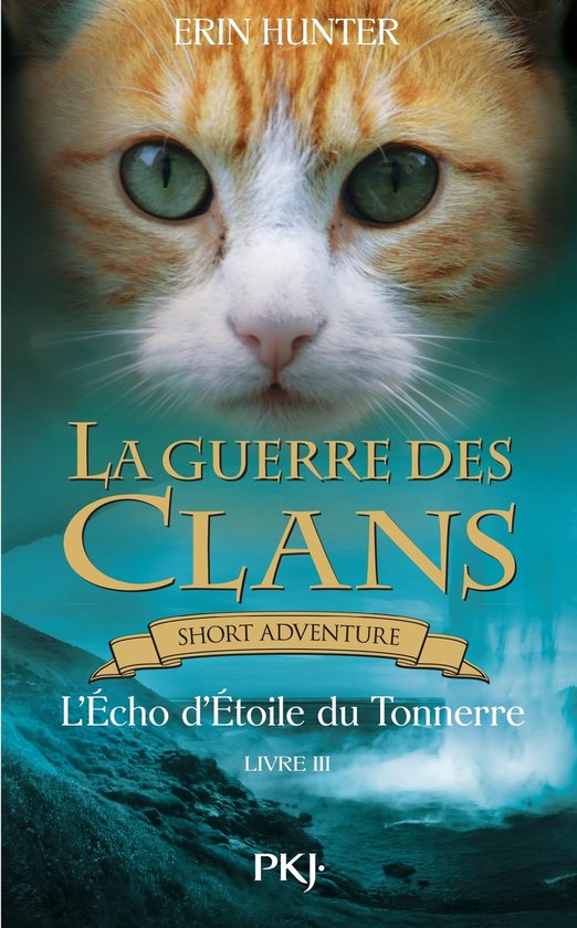 Guerre Des Clans La Guerre Des Clans L Echo D Etoile Du Tonnerre Guerre Des Clans La Guerre Des Clans L Echo D Etoile Du Tonnerre