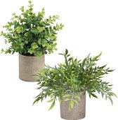 Kunstplant, 2 kunstplanten, kleine planten in potten, bureaudecoratie, planten voor kantoor, bureau, huis, keuken, tuin, tafel en badkamer