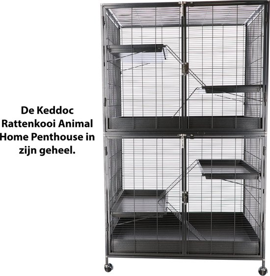 Cage à rats Keddoc Maison pour animaux Dessus Penthouse 93,5x63x76