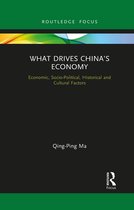 Routledge Focus on Economics and Finance- What Drives China’s Economy