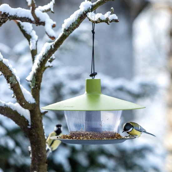 Nichoir à oiseaux suspendu pour oiseaux sauvages, mangeoire à oiseaux en  plastique