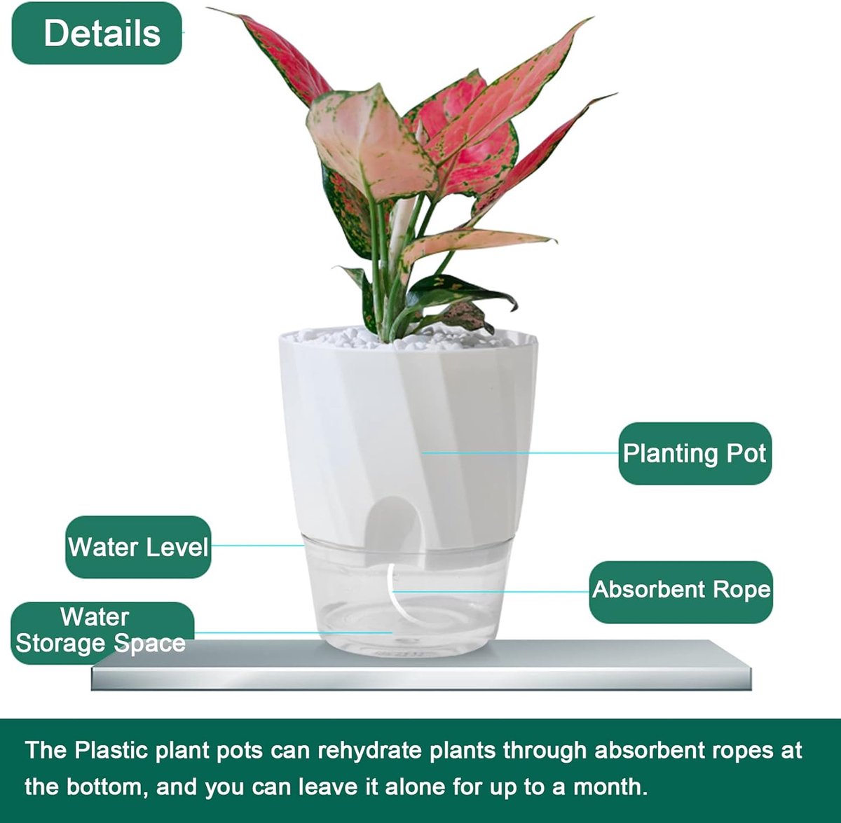 Pot de fleur en plastique blanc à arrosage automatique, pots d'orchidées,  beaucoup de fleurs d'intérieur avec trou de proximité, plantes succulentes