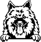 Sticker - Glurende Hond - Keeshond - Zwart - 25x20cm - Peeking Dog