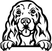 Sticker - Glurende Hond - Cocker Spaniel - Zwart - 25x20cm - Peeking Dog