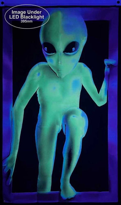 Alien Visitor - Blacklight Poster