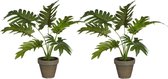 Mica Décoration Plante artificielle Philodendron - 2x - vert - H30 et D27 cm - Plantes d'ambiance/bureau
