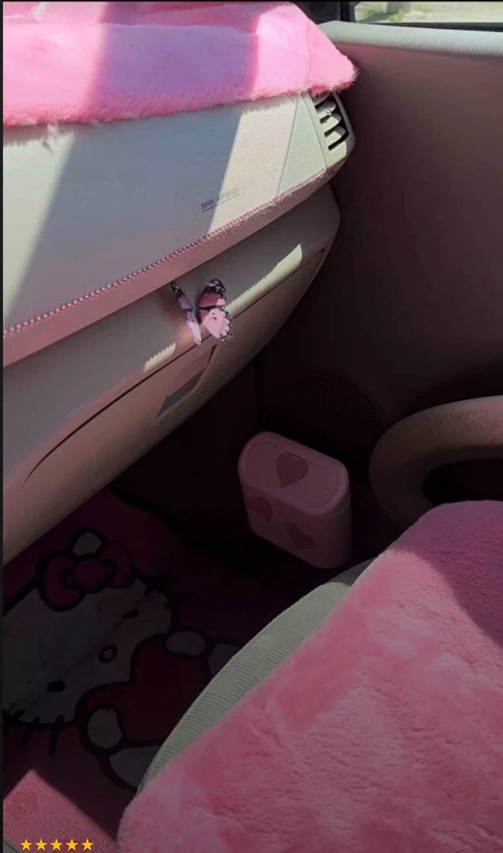 MONT KIARA Auto Prullenbak Deksel Organizer Vuilnisbak Roze mini prullenbak 1L - auto deur prullenbak - handig prullenbak- Plastic Opbergdoos Auto - Mini Auto Prullenbak-Reisgoederen - Auto accessoires