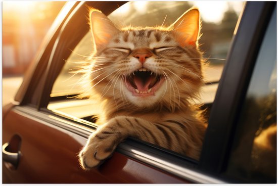 Poster Glanzend – Dier - Kat - Auto - Lachen - Tanden - 75x50 cm Foto op Posterpapier met Glanzende Afwerking