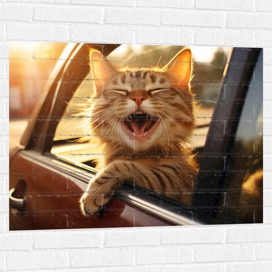 Muursticker - Dier - Kat - Auto - Lachen - Tanden - 100x75 cm Foto op Muursticker