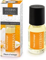 Esteban - huile essentielle de parfum - Fleurs d'Oranger - Parfum agrumes-fruité - 15ml